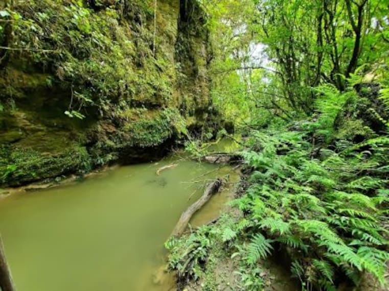 Waitomo Glow-worm Caves Tour-3